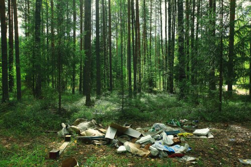 A pile of mixed waste materials, including cardboard boxes, plastic bags, and foam packaging, is scattered on the ground at the edge of a dense woodland area with tall, straight trees and green foliage. The waste appears to be discarded illegally in a natural environment, with some items partially collapsed or crumpled, contrasting with the lush, leafy background. The scene suggests the presence of rubbish removal services working to clear such debris from rural or woodland sites, possibly as part of countryside clean-up efforts or environmental protection initiatives in the Kingston area. The lighting indicates daytime, with sunlight filtering through the canopy, casting neutral tones over the scene that highlights the contrast between human waste and natural surroundings.